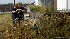 Bild: Flurbrand - Rosengasse