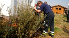 Bild: Flurbrand - Rosengasse