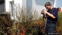 Bild: Flurbrand - Rosengasse