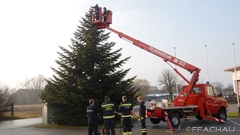 Bild: Feuerwehr-Tannenbaum, erstrahlt im neuen Glanz