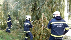 Bild: Sturmschaden nach heftigem Gewitter