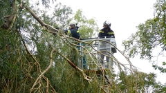 Bild: Sturmschaden nach heftigem Gewitter