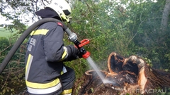 Bild: Flurbrand - Brennender Baumstamm