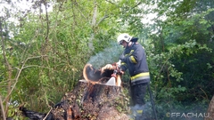 Bild: Flurbrand - Brennender Baumstamm