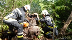 Bild: Flurbrand - Brennender Baumstamm
