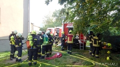 Bild: Branddienst Übung Münchendorf