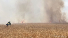 Bild: Feld in Vollbrand - Münchendorf