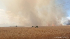 Bild: Feld in Vollbrand - Münchendorf