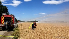 Bild: Feld in Vollbrand - Münchendorf