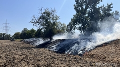 Bild: B1 - Vegetationsbrand