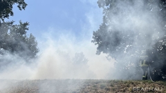 Bild: B1 - Vegetationsbrand