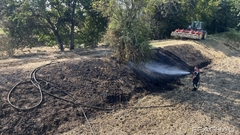 Bild: B1 - Vegetationsbrand