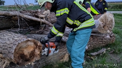 Bild: Umgang mit der Kettensäge