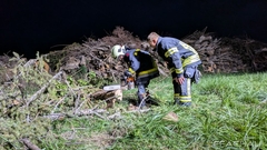 Bild: Umgang mit der Kettensäge