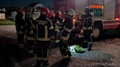 Bild: Branddienstübung