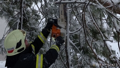 Bild: T1 - Schneebruch