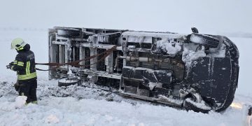 T1 – Fahrzeugbergung und loser Ast