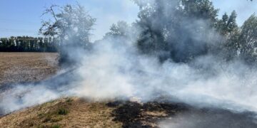B1 – Vegetationsbrand