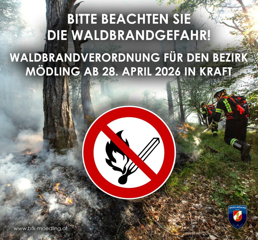 WhatsApp Image 2026-04-29 at 09.53.32