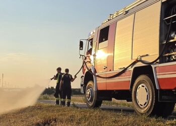 Wald und Flächenbrandübung