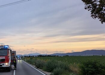 T1 – Fahrzeugbergung nach Wildunfall