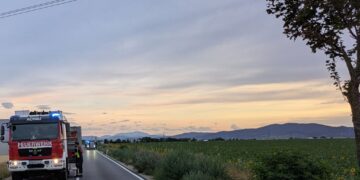 T1 – Fahrzeugbergung nach Wildunfall