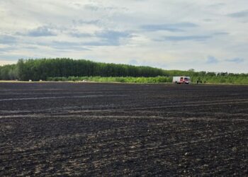 B2 – Vegetationsbrand