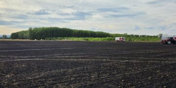 B2 – Vegetationsbrand